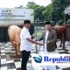 Iduladha 1447 H Polda Jatim Salurkan Ratusan Hewan Kurban untuk Masyarakat