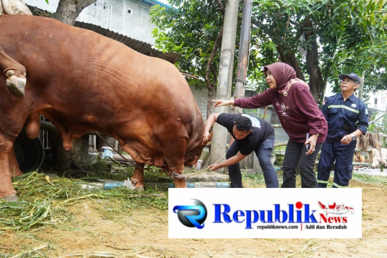 Mimik Idayana