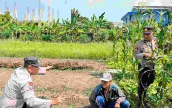 Polisi Cinta Petani Polsek Sedati Dukung Swasembada Pangan Nasional