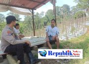 Bhabinkamtibmas Desa Gendro Tinjau Tanaman Cabai
