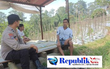 Bhabinkamtibmas Desa Gendro Tinjau Tanaman Cabai