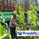 Polsek Waru Pantau Pertumbuhan Jagung di Desa Pepelegi untuk Swasembada Pangan