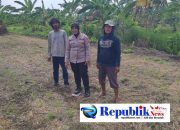 Foto : Polsek Gedangan masifkan pendampingan ketahanan pangan.