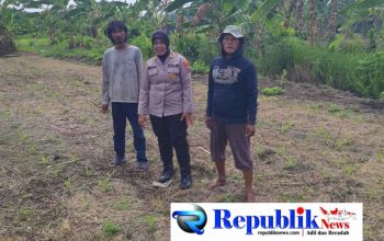 Polsek Gedangan Masifkan Pendampingan Ketahanan Pangan