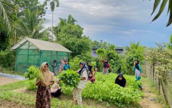 Medco E&P Malaka Dorong Ketahanan Pangan, Warga Indra Makmu Mampu Mandiri dengan Kebun Sayur