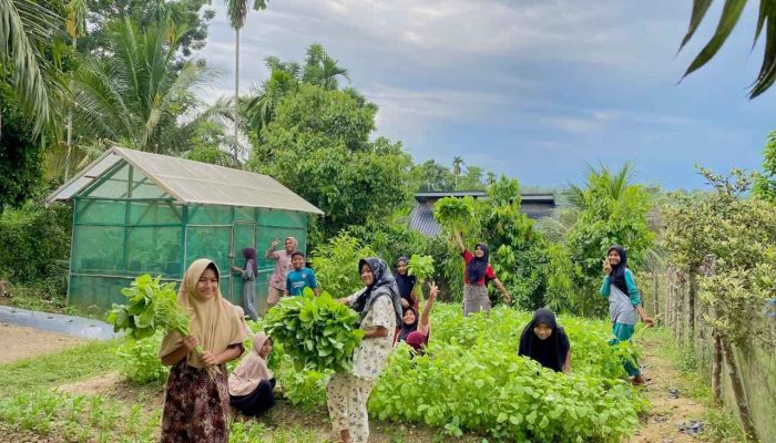 Medco E&P Malaka Dorong Ketahanan Pangan, Warga Indra Makmu Mampu Mandiri dengan Kebun Sayur