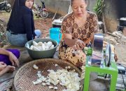 Pertanian Organik Angkat Kesejahteraan Warga Giriyoso