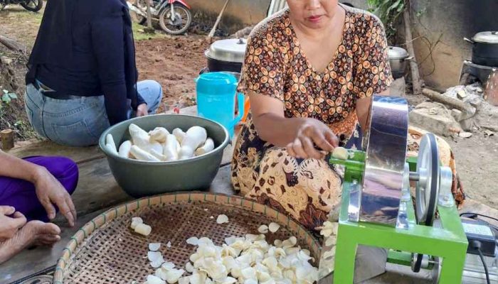 Pertanian Organik Angkat Kesejahteraan Warga Giriyoso