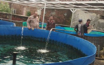 Babinkamtibmas Polsek Bangil Dampingi Warga Tambakan Kembangkan Budidaya Lele di Pekarangan