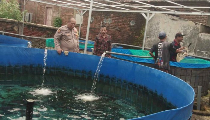 Babinkamtibmas Polsek Bangil Dampingi Warga Tambakan Kembangkan Budidaya Lele di Pekarangan