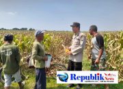 Kapolsek Prambon Masifkan Bhabinkamtibmas Sambang Petani, Guna Dongkrak Swasembada Pangan