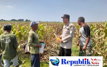 Kapolsek Prambon Masifkan Bhabinkamtibmas Sambang Petani, Guna Dongkrak Swasembada Pangan