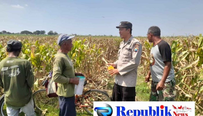 Kapolsek Prambon Masifkan Bhabinkamtibmas Sambang Petani, Guna Dongkrak Swasembada Pangan