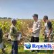 Kapolsek Prambon Masifkan Bhabinkamtibmas Sambang Petani, Guna Dongkrak Swasembada Pangan