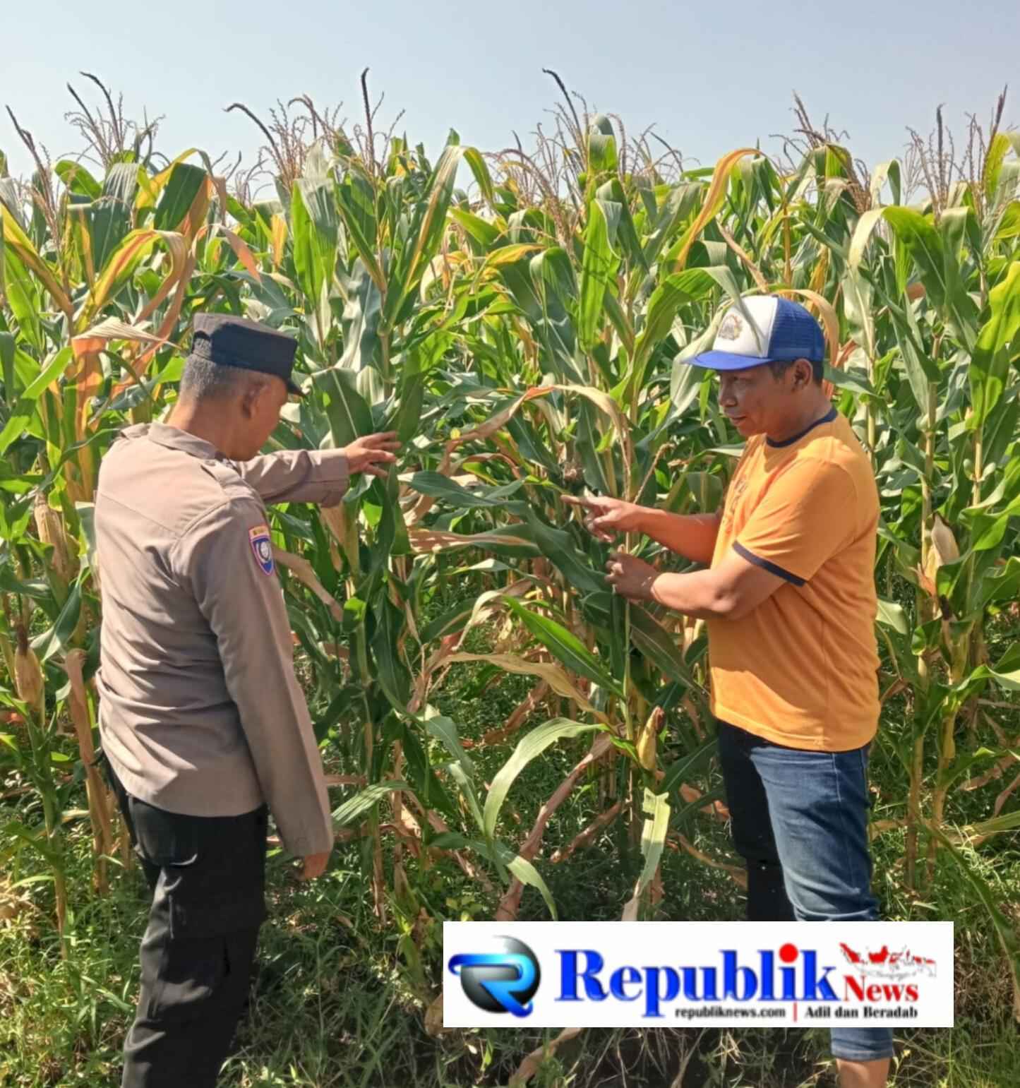 Foto : Polsek Tarik patroli dan pantau lahan.