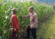Polisi Cinta Petani, Kanit Binmas Polsek Buduran Perkuat Ketahanan Pangan Bersama Warga Sukorejo