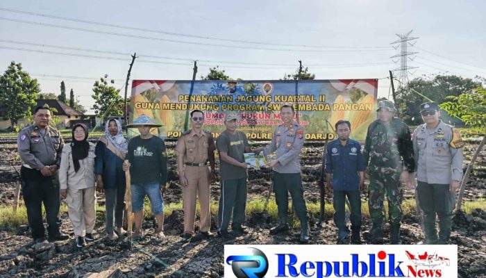 Kapolsek Wonoayu bersama Gapoktan Tanam Jagung Kuartal II, Dukung Swasembada Pangan Nasional