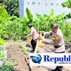 Optimalkan Program Ketahanan Pangan, Polsek Waru Optimis Tanam Jagung Berhasil