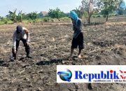 Kapolsek Taman Optimalkan Peran Bhabinkamtibmas Jalankan Ketahanan Pangan