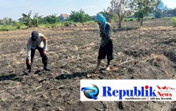 Kapolsek Taman Optimalkan Peran Bhabinkamtibmas Jalankan Ketahanan Pangan