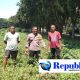 Polsek Sidoarjo Kota Pantau Perkembangan Lahan Jagung Desa Lebo Dukung Swasembada Pangan