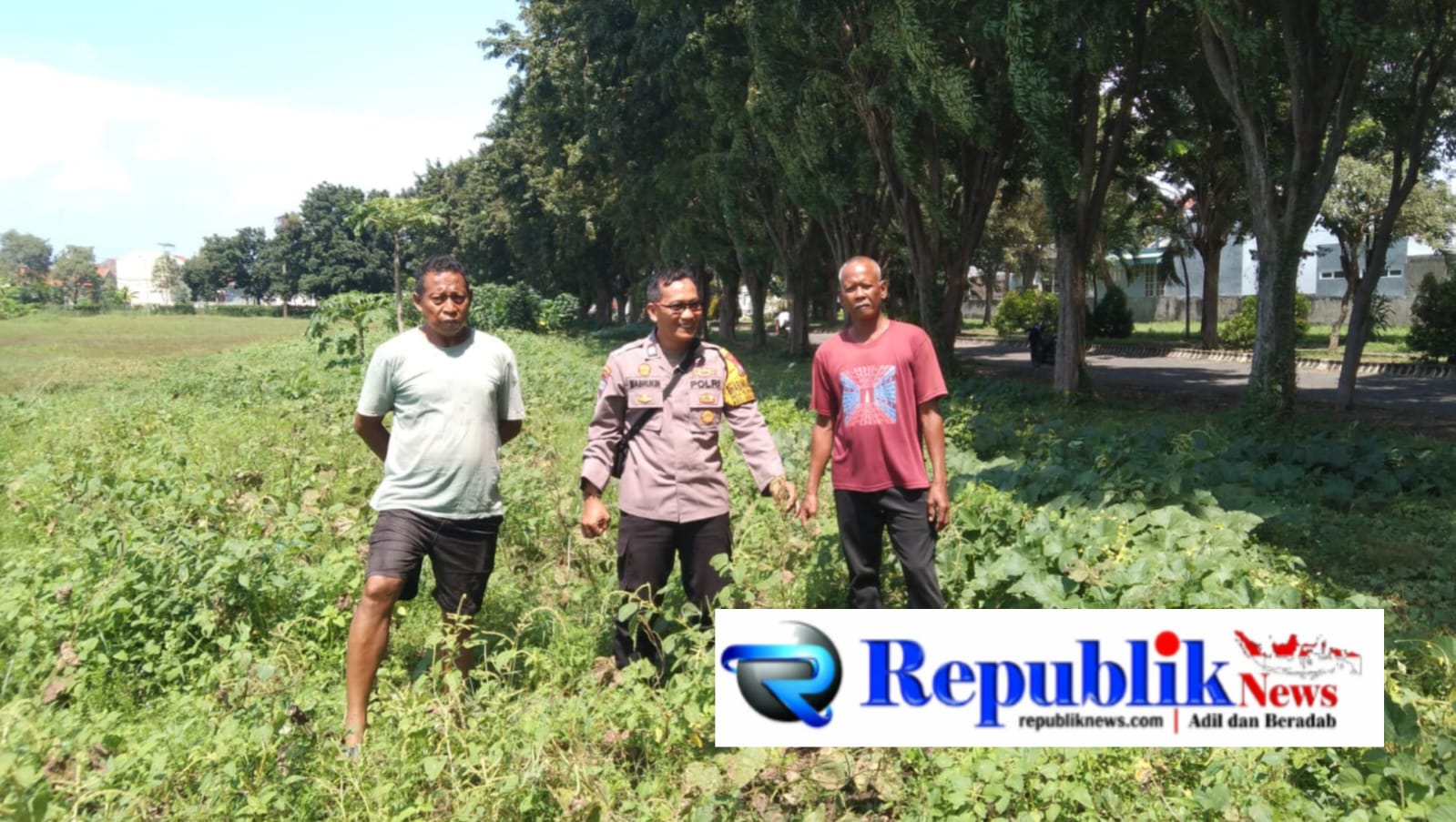 Foto : Polsek Sidoarjo kota memantau perkembangan tanaman jagung di Desa Lebo , Wonoayu.