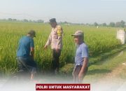 Bhabinkamtibmas Klagen Bangun Kedekatan dengan Petani Lewat Sambang Persawahan