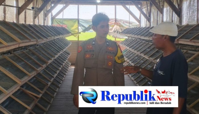 Bhabinkamtibmas Masangan Monitoring Peternakan Puyuh Produktif Milik Bumdes