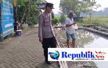 Dukung Ketahanan Pangan, Bhabinkamtibmas Kauman Edukasi Warga Budidaya Mujair dan Lele