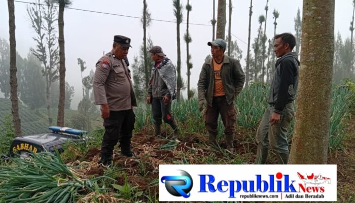 Bhabinkamtibmas Polsek Tosari Pantau Lahan Bawang Prei, Dukung Program Ketahanan Pangan Nasional