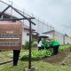 Tingkatkan Produktivitas, Kanwil Ditjenpas Aceh Dorong Optimalisasi Lahan UPT Pemasyarakatan