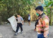 Gerak Cepat Tindak Laporan Warga, Polsek Tulangan Musnahkan Arena Sabung Ayam