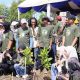 Medco E&P dan BPMA Tanam 1.000 Mangrove di Banda Aceh