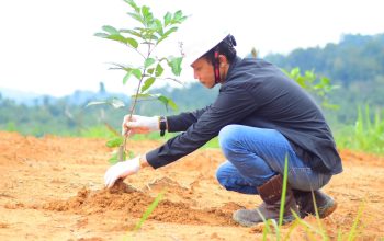 Dukung Rehabilitasi Lingkungan Pascabanjir Aceh Timur, Medco E&P Malaka, BPMA, IM-TRAX Tanam 1.000 Pohon