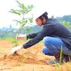 Dukung Rehabilitasi Lingkungan Pascabanjir Aceh Timur, Medco E&P Malaka, BPMA, IM-TRAX Tanam 1.000 Pohon