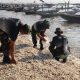 Danramil Rungkut Memimpin Langsung Bersih Bersih Pantai Batu Batu Dalam Rangka Hut ke 60 Korem 084/Bhaskara Jaya