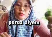 Kesegaran di Balik Senyuman Kisah Perjuangan Uswatun Mustafida Penjual Jeruk Siyem