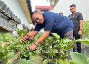 Dukung Ketahanan Pangan dan Pemberdayaan Warga Binaan, Kakanwil Ditjenpas Aceh Tinjau Layanan Dapur Hingga Panen Telur di Lapas Kota Bakti