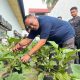 Dukung Ketahanan Pangan dan Pemberdayaan Warga Binaan, Kakanwil Ditjenpas Aceh Tinjau Layanan Dapur Hingga Panen Telur di Lapas Kota Bakti