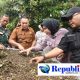 Wabup Sidoarjo Apresiasi UMKM Herbal Teh Daun Kumis Kucing, Dorong Desa Wonokupang Jadi Sentra Tanaman Obat