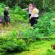Harimau Dekati Permukiman, Polsek Simpang Jernih Berkoordinasi dengan BKSDA dan Imbau Warga Tingkatkan Kewaspadaan