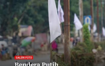 Bendera Putih Kembali Berkibar di Aceh Timur, Ratusan Korban Banjir Kecewa Proses Pemulihan Pascabanjir Belum Jelas