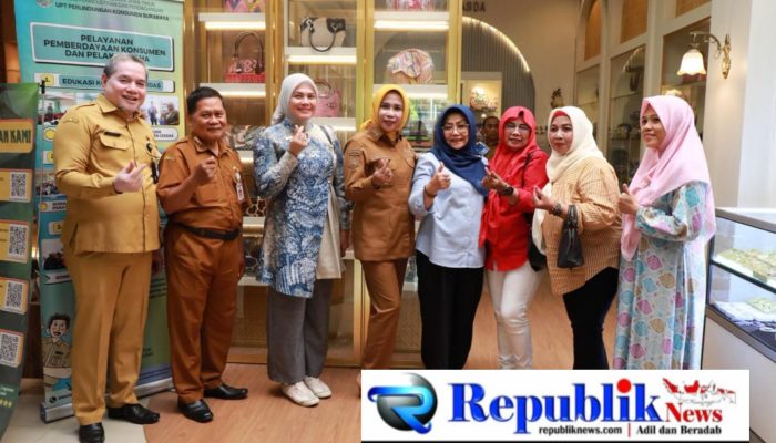 Wabup Mimik Terima Audiensi Wakil Wali Kota Banjarmasin, Bahas Potensi Daerah dan Penguatan UMKM