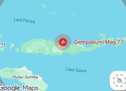 GEMPA NTT M7,7.  47 ORANG MENINGGAL DUNIA, AKTIVITAS WARGA LUMPUH DAN BANTUAN DARURAT MULAI DISALURKAN