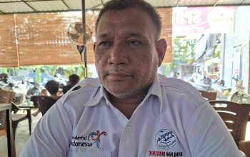 TBS Sawit, Sumber PAD yang Belum Tergali di Aceh Timur