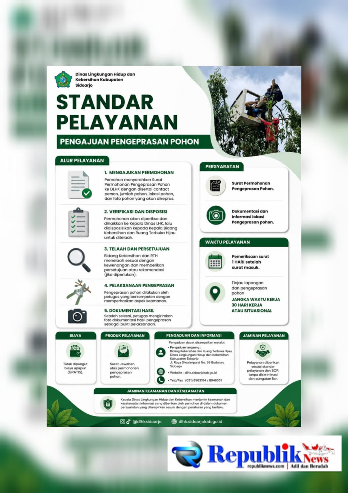 Foto : Warga Sidoarjo diminta laporkan pohon berisiko tumbang .Layanan pengepresan gratis.