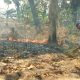 Polisi dan Warga Bersinergi Cegah Karhutla di Kawasan Hutan Panceng
