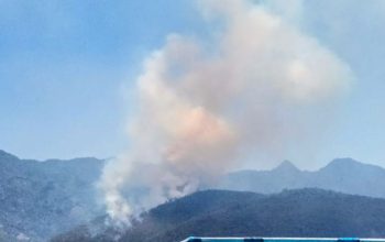 Belum 1 Jam, Kebakaran Lahan di Desa Jikohai Meluas hingga 1 Hektare