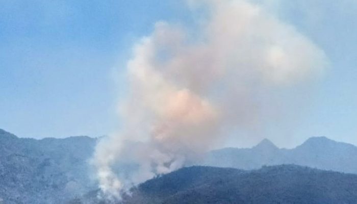 Belum 1 Jam, Kebakaran Lahan di Desa Jikohai Meluas hingga 1 Hektare