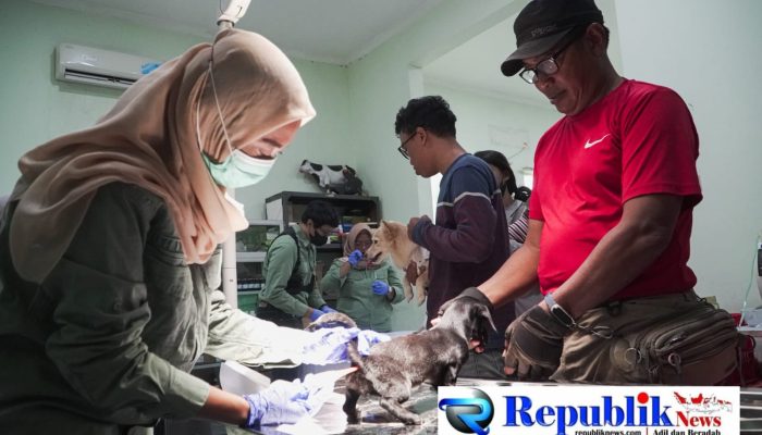 Peringati World Rabies Day, DPPP Sidoarjo Gelar Vaksinasi Rabies Gratis